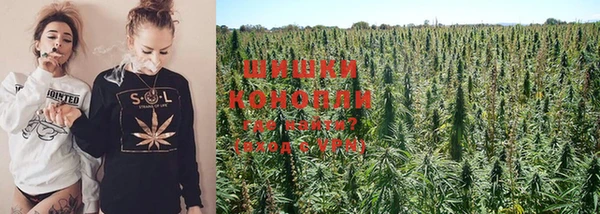 каннабис Алзамай