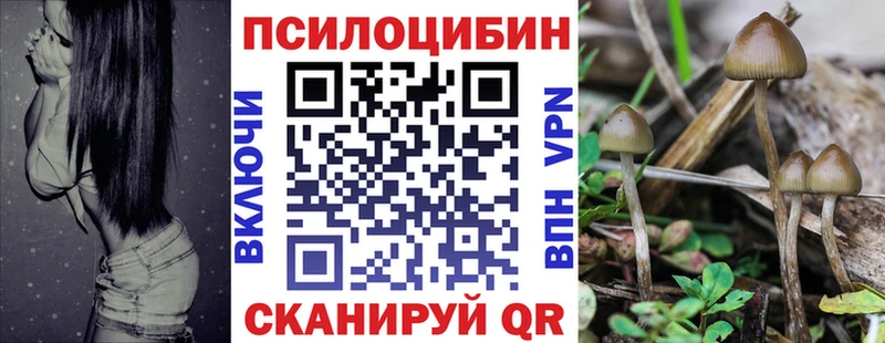 Псилоцибиновые грибы мицелий купить наркотик Бабушкин
